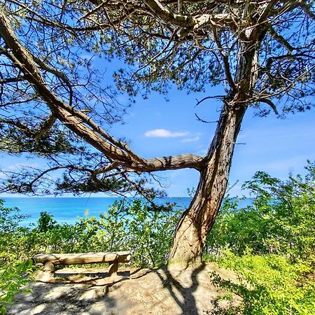 Strandnahe Ferienwohnung Ruegen 드란스케 외부 사진