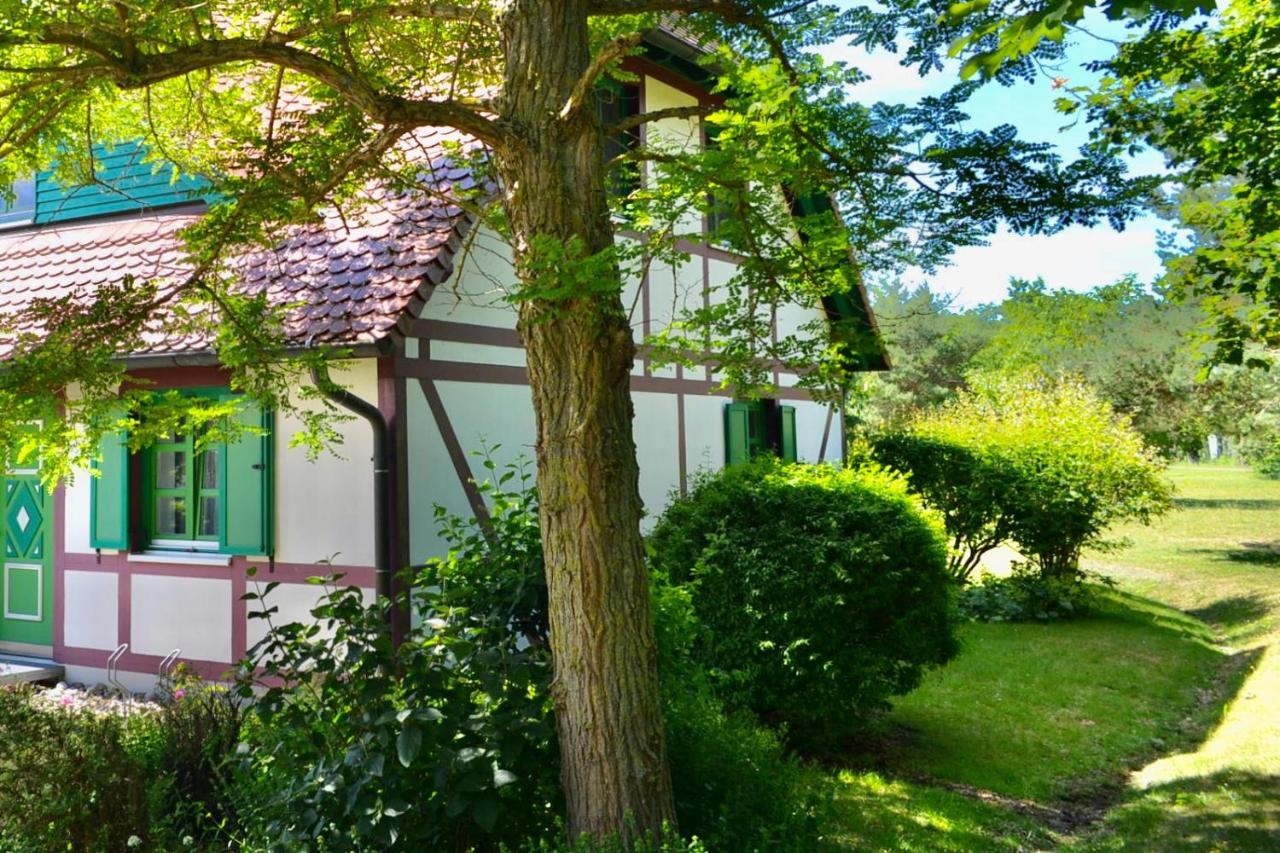 Strandnahe Ferienwohnung Ruegen 드란스케 외부 사진