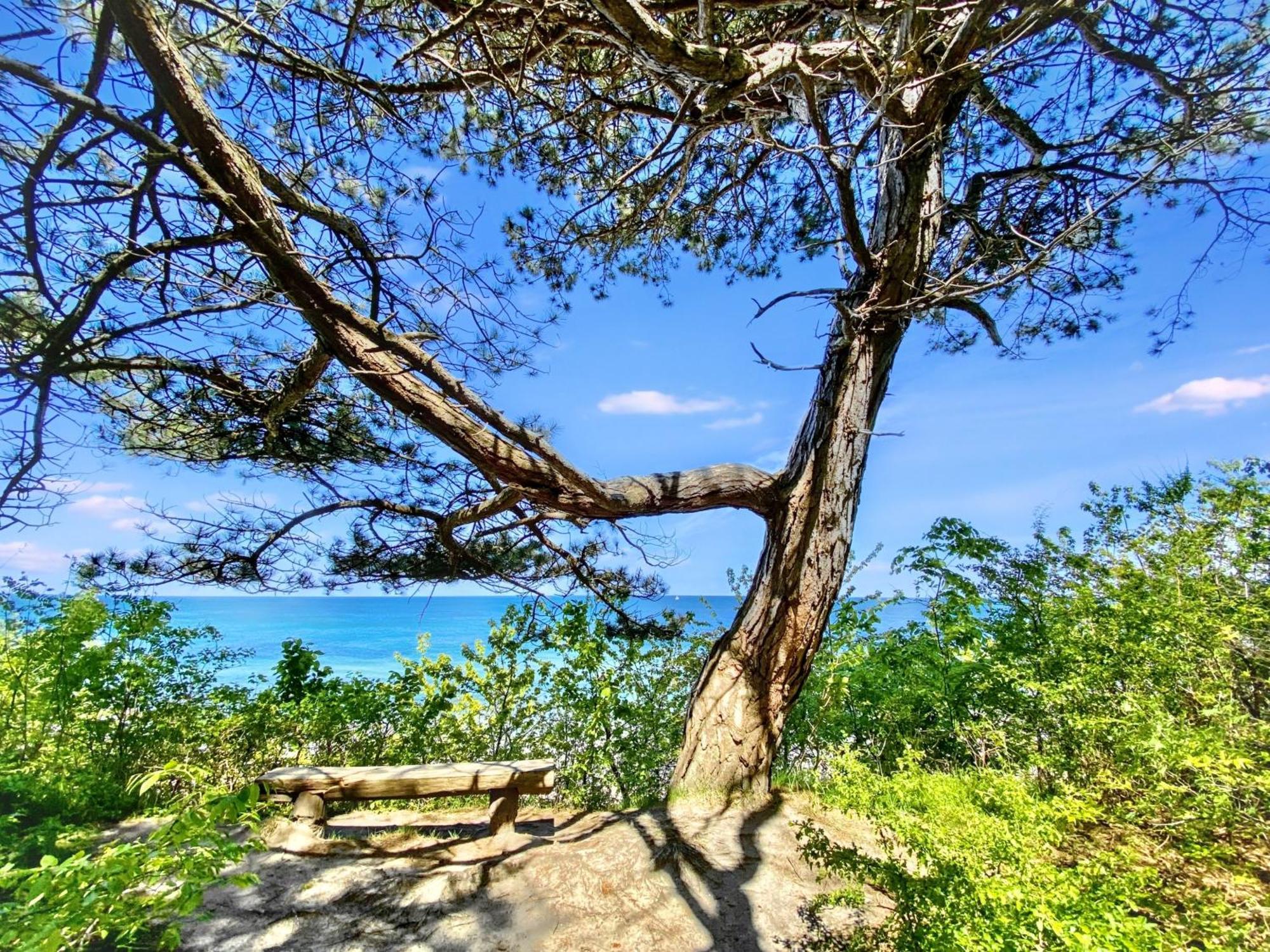 Strandnahe Ferienwohnung Ruegen 드란스케 외부 사진