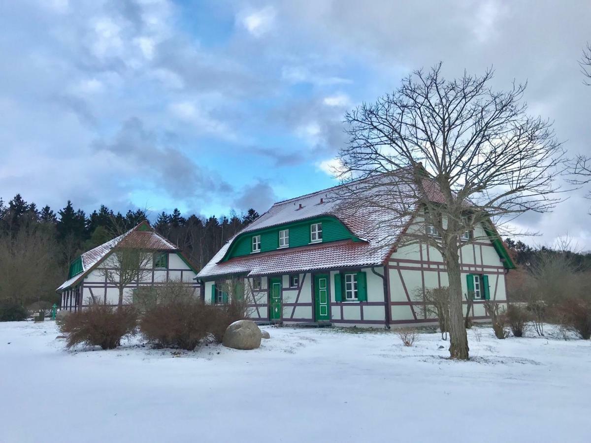 Strandnahe Ferienwohnung Ruegen 드란스케 외부 사진