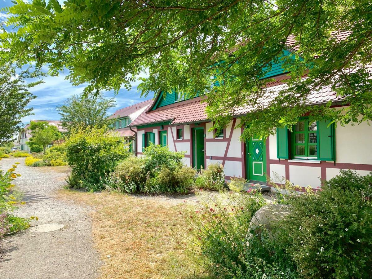Strandnahe Ferienwohnung Ruegen 드란스케 외부 사진