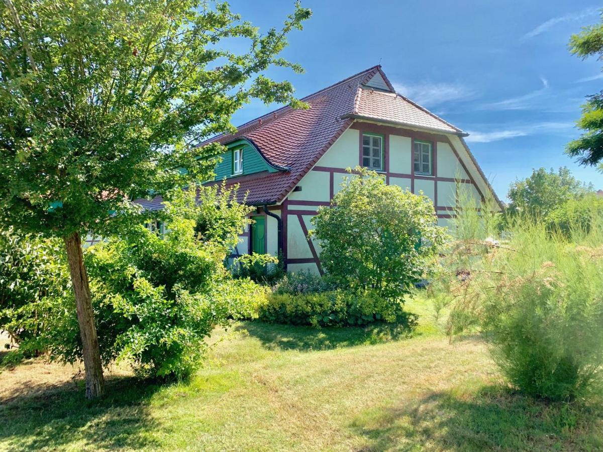 Strandnahe Ferienwohnung Ruegen 드란스케 외부 사진